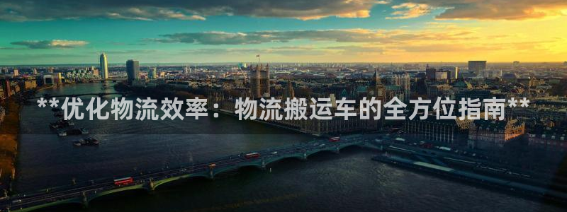 28圈注册链接入口：**优化物流效率