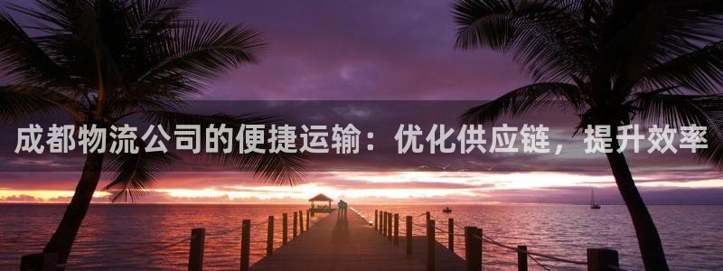 28圈能不能退：成都物流公司的便捷运