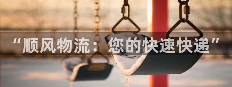 28圈注册二维码：“顺风物流：您的快