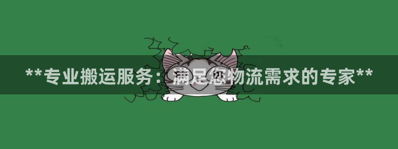 28圈p扣除：**专业搬运服务：满足