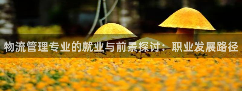 28圈注册登录流程：物流管理专业的就