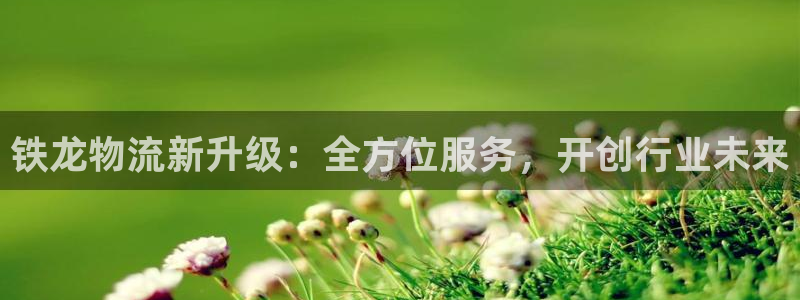 28圈.ccmo：铁龙物流新升级：全