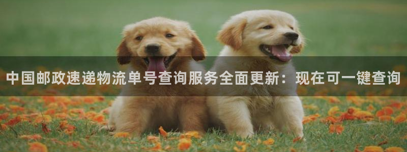 28圈注册网址：中国邮政速递物流单号