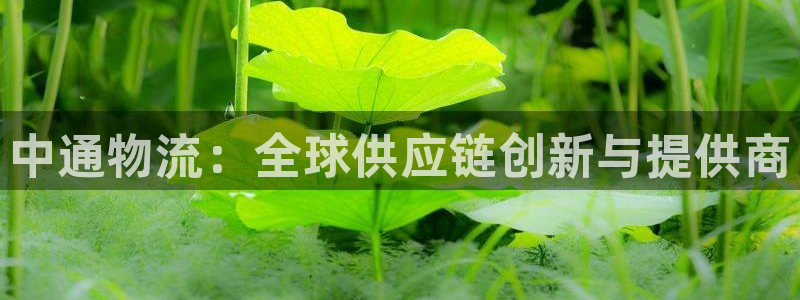 28圈链接多少：中通物流：全球供应链