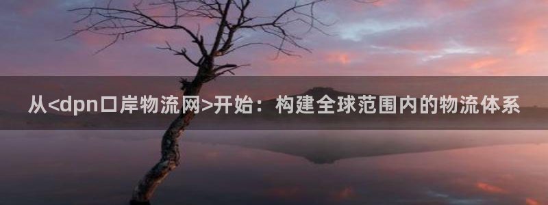 28圈网站平台：从<dpn口岸物流网>开始：构建全球范围内的