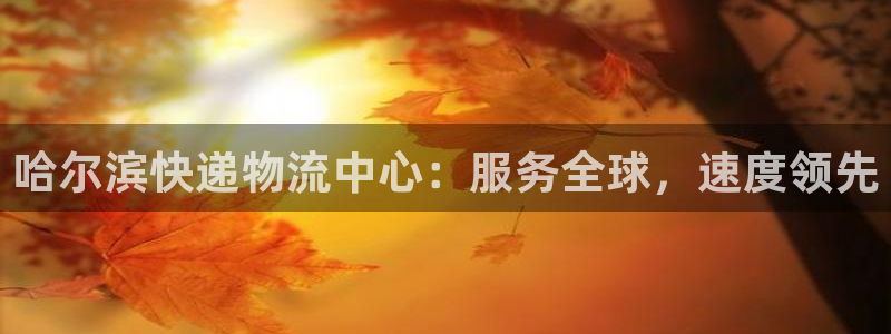 28圈.ccmapp：哈尔滨快递物流