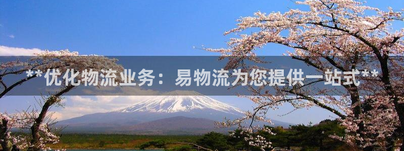 28圈大神预测：**优化物流业务：易