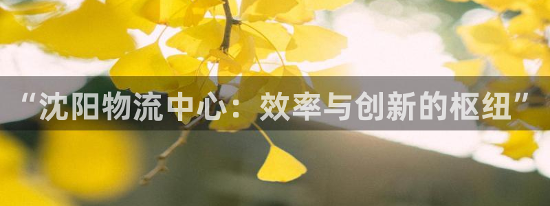 28圈旗下:“沈阳物流中心:效率与创