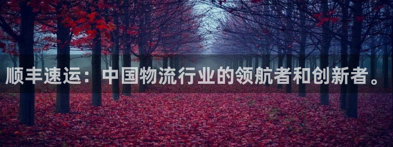 28圈开奖预测：顺丰速运：中国物流行