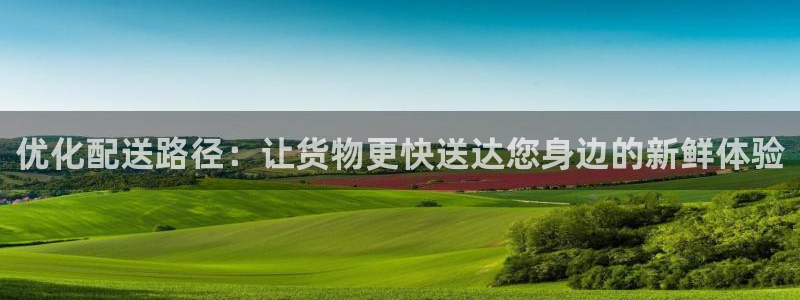 28圈游戏官网版:优化配送路径:让货