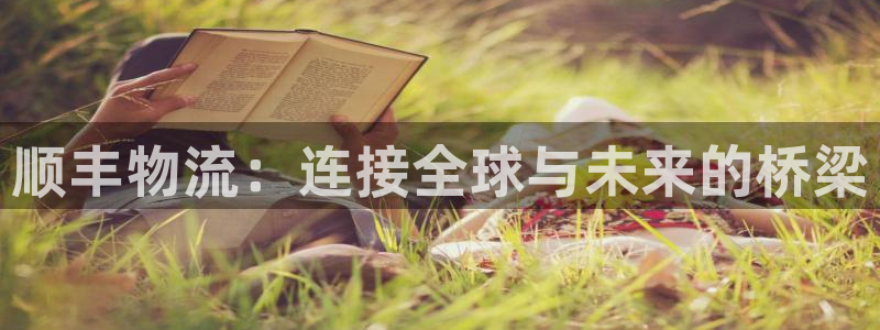 28圈链官网:顺丰物流:连接全球与未