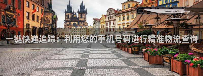 28圈在线预测：一键快递追踪：利用您的手机号码进行精准物流查