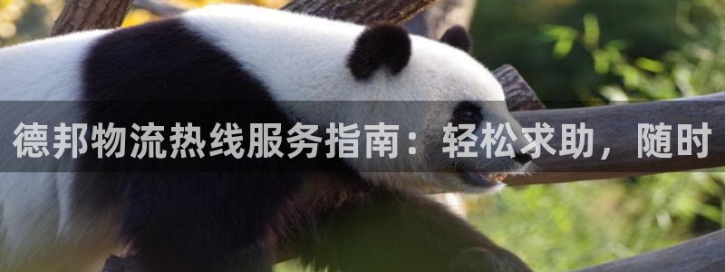 28圈激活码：德邦物流热线服务指南：