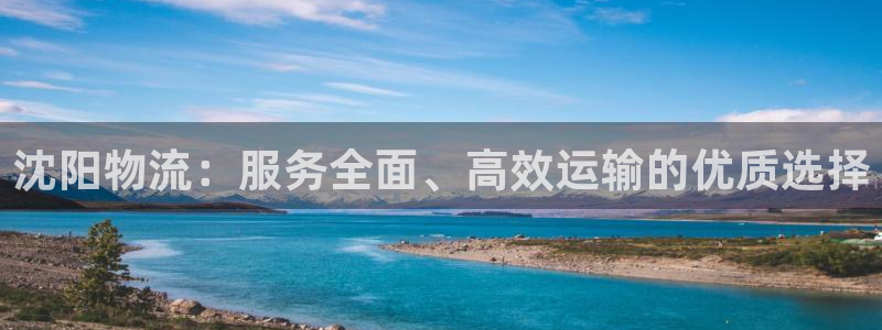 28圈龙虎:沈阳物流:服务全面、高效