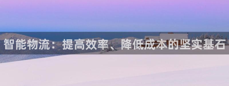 28圈加拿大开奖：智能物流：提高效率