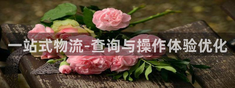 28圈推广链接是多少粉丝：一站式物流