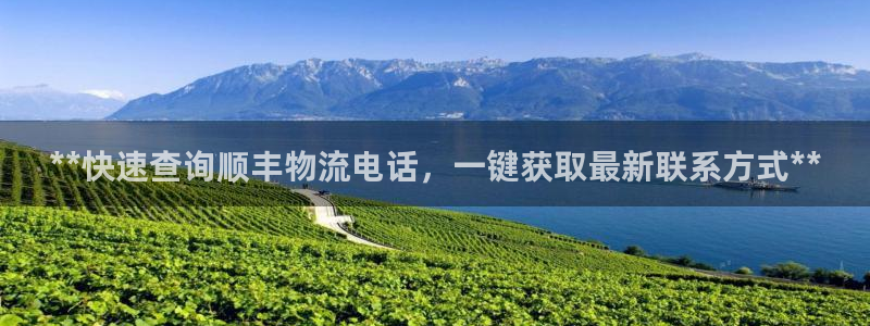 28圈黑款：**快速查询顺丰物流电话