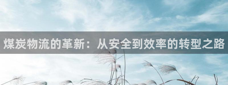 南宫28圈官网版