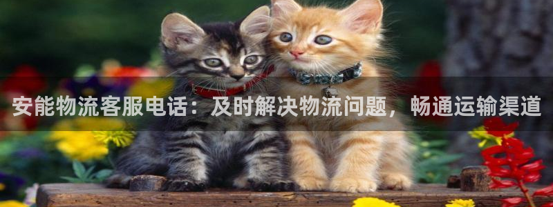 28圈图片：安能物流客服电话：及时解