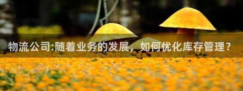 28圈黑钱：物流公司:随着业务的发展