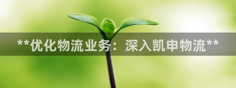 28圈怎么注册下载：**优化物流业务