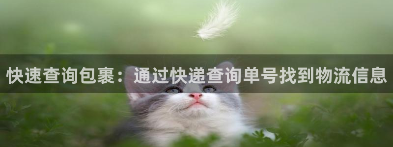 28圈赌博软件正规吗:快速查询包裹: