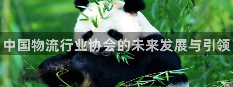 28圈的平台：中国物流行业协会的未来