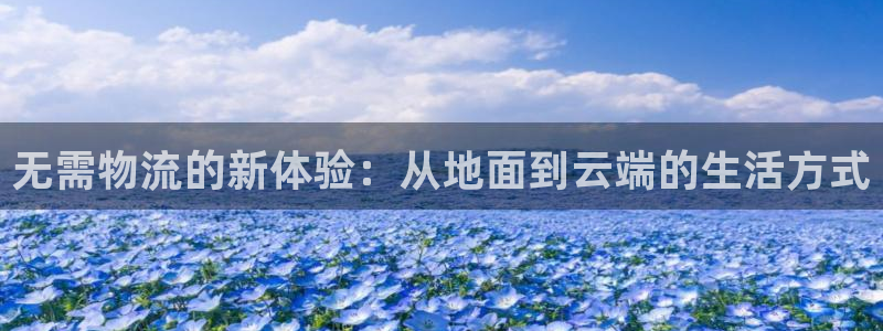 28圈p扣除是什么意思：无需物流的新