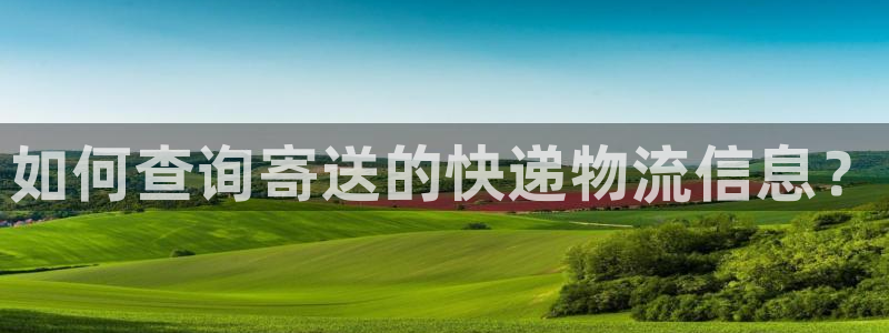 28圈是干嘛的:如何查询寄送的快递物