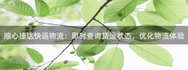 28圈官网预测:顺心捷达快运物流:即