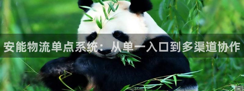 28圈加拿大怎么玩:安能物流单点系统