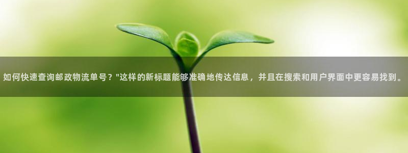 28圈下分了不给钱：如何快速查询邮政