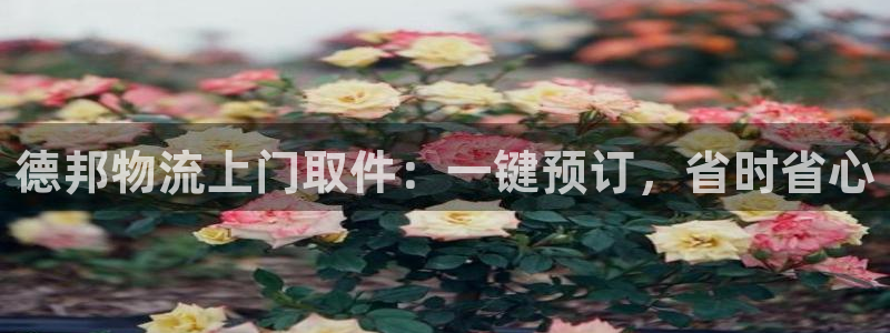 28圈pg麻将胡了2老是空转