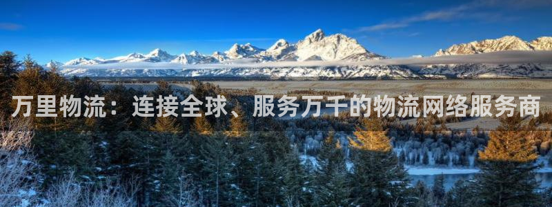 28圈加拿大6.0：万里物流：连接全