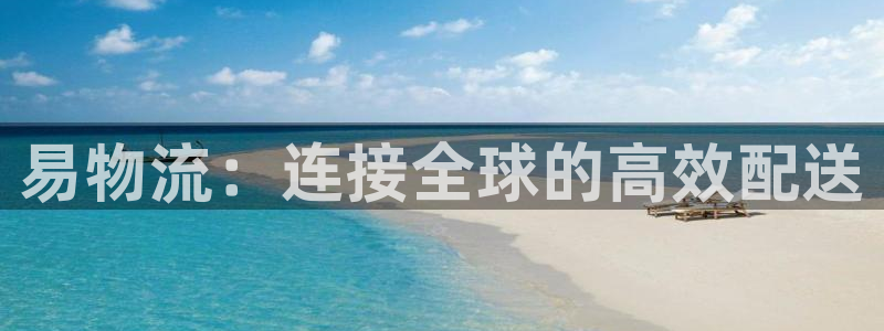 28圈官网预测：易物流：连接全球的高