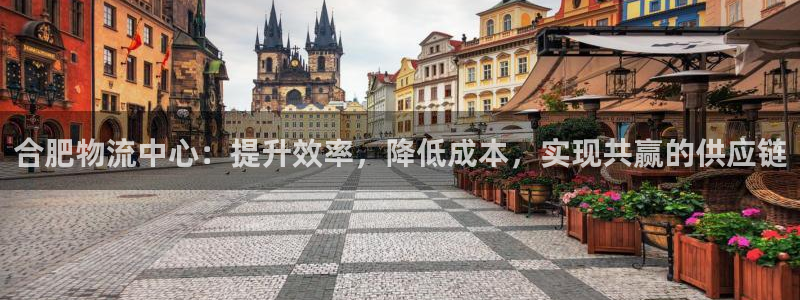 28圈麻将胡了在线试玩：合肥物流中心