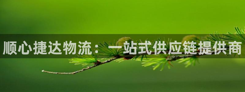 28圈是正规软件吗:顺心捷达物流:一