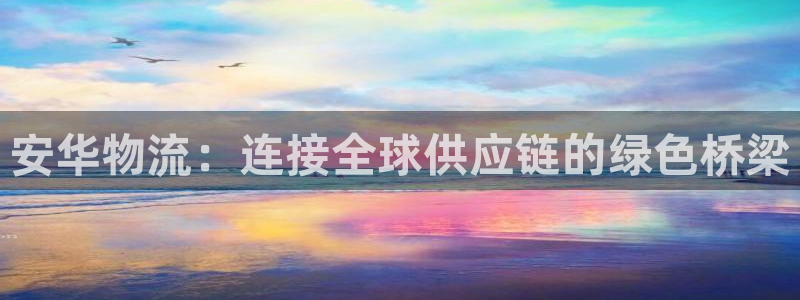 28圈新用户怎么注册：安华物流：连接