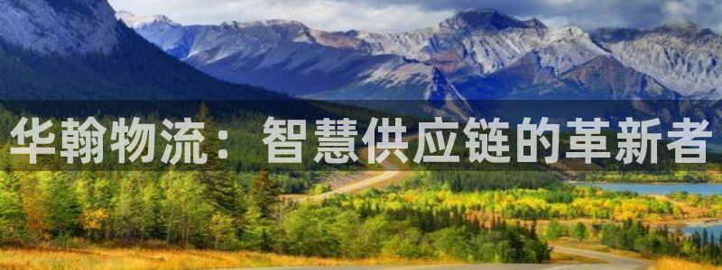 28圈麻将:华翰物流:智慧供应链的革