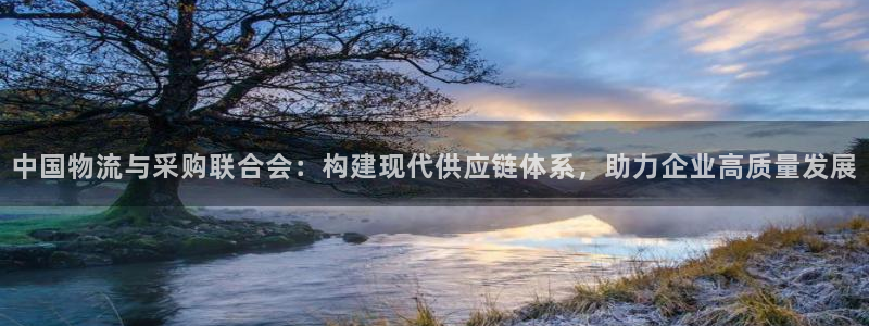 28圈注册步骤：中国物流与采购联合会