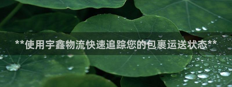28圈登录用户名登录不上：**使用宇