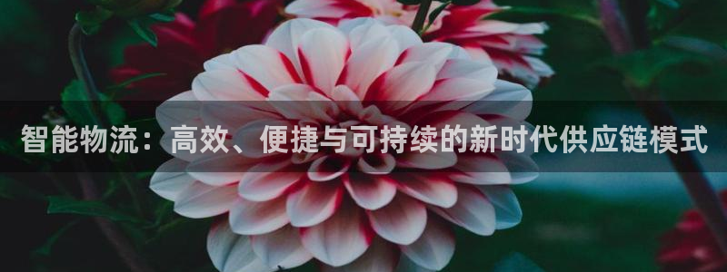 28圈为什么打不开：智能物流：高效、