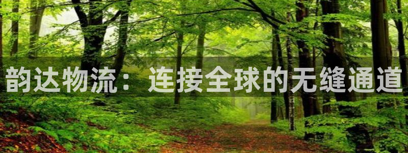 28圈官方版正版：韵达物流：连接全球