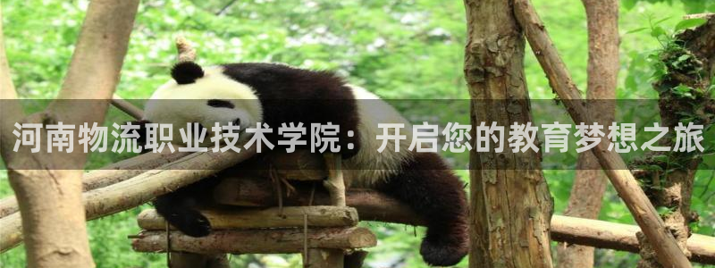 28圈分分28输了能不能退:河南物流