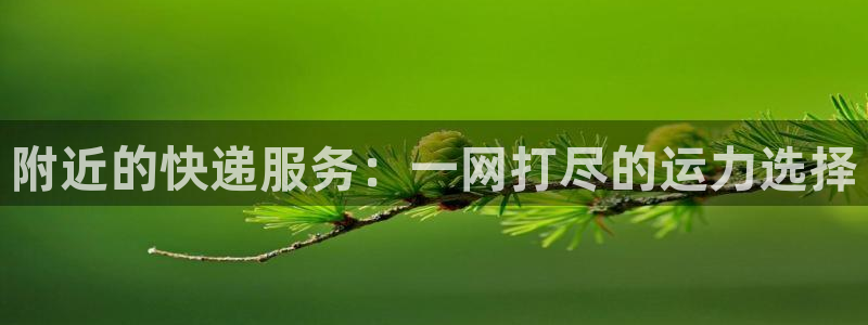 28圈是正规平台吗：附近的快递服务：