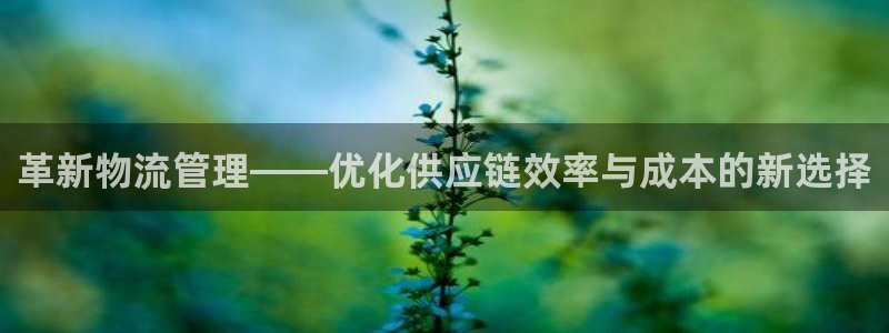 28圈注册网页版：革新物流管理——优