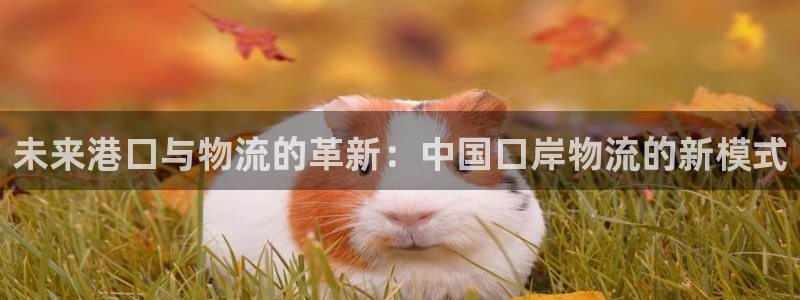 28圈大神预测：未来港口与物流的革新