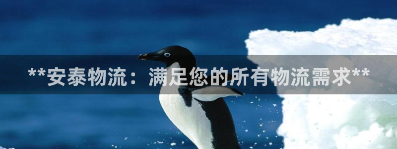 28圈注册网站加拿大：**安泰物流：