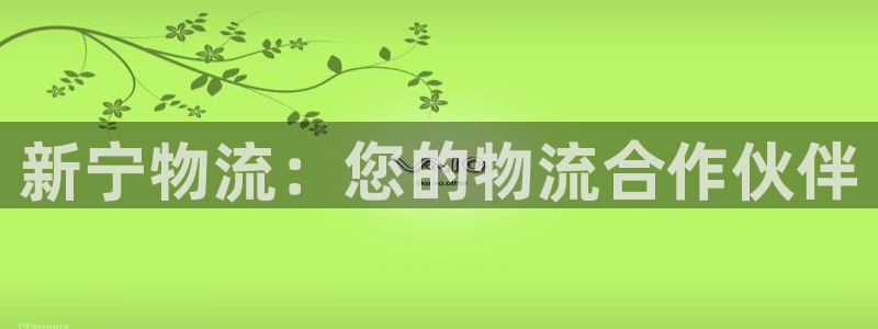 28圈黑款：新宁物流：您的物流合作伙