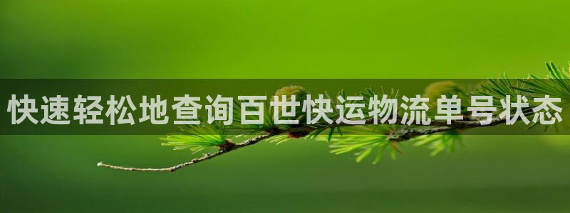28圈图片：快速轻松地查询百世快运物